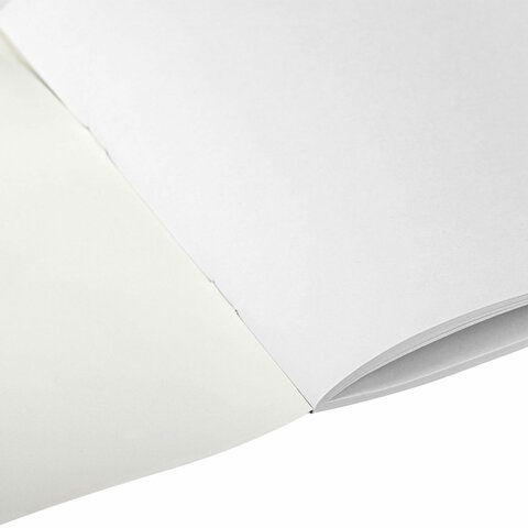 Альбом для рисования 40л А4 скоба обложка офсет Микс ПИФАГОР 1/8/40