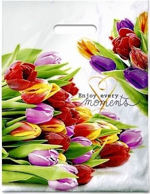 Пакет с вырубной ручкой (31х40)-60 Этюд ламинат 50/500 Пакет с вырубной ручкой (31х40)-60 Этюд ламинат 50/500