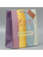 Пакет подарочный ламинированный (25х30,5х12,5) Лови момент 1/200 Пакет подарочный ламинированный (25х30,5х12,5) Лови момент 1/200