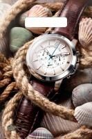 Пакет с вырубной ручкой (20х30)-30 Мужские часы Тико 100/3000