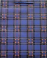 Пакет подарочный бумажный (26х32х10) ламинир матовая Клетка 1/20