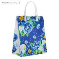 Пакет пластиковый (23х27+10)-150 Вивиан Интерпак 1/40