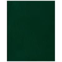 Тетрадь 96л А5 клетка бумвинил офсет зеленый BG 1/50