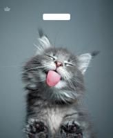 Пакет с вырубной ручкой (38х45)-60 Кот ламинат Тико 50/500