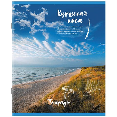 Тетрадь 96л А5 клетка офсет №2  обл картон скоба Природа STAFF 1/5/50