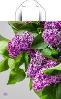 Пакет с петлевой ручкой (28х35)-55 Сиреневый цвет Тико 50/700