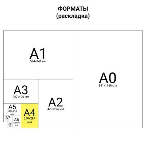 Книга учета 96л 200х290мм клетка,  бумвинил, типограф. блок STAFF 1/10