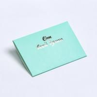 Конверт под сертификат 10,5х7см От всей души с тиснением мятный 10/10