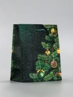 НГ Пакет подарочный ламинированный (11,5х14,5х6,5) Ветки елки 6/480