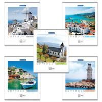 Тетрадь 96л А5 клетка обложка картон КАНИКУЛЫ BRAUBERG 5/50