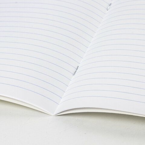 Тетрадь 18л линия с полями ПЗБМ  /210