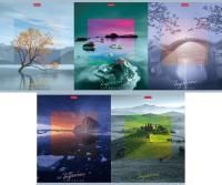 Тетрадь 80л А5 клетка скоба мелованный картон Impressions Хатбер 1/7/70