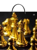 Пакет с пластмассовыми ручками (36х37)-100 Королевский ход Тико 10/100