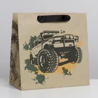 Пакет подарочный бумажный (22х22х11) крафт Discovery 1/146