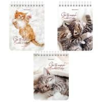 Блокнот 40л А6 108х145мм клетка гребень Милые котята BRAUBERG 1/6/96