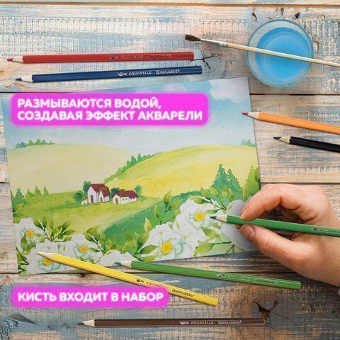 Карандаши цветные 12цв акварельные с кистью заточенные BRAUBERG 1/12/240