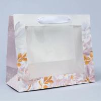 Пакет подарочный бумажный с окном (24х20х11) Самой нежной 1/400