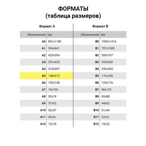 Тетрадь 12л линия с полями эконом ПИФАГОР /200