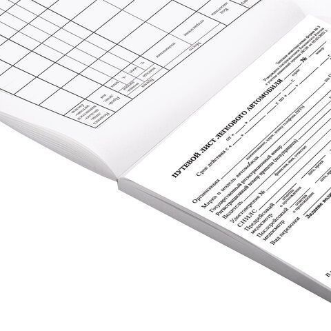 Бланк Путевой лист л/а А5 100шт BRAUBERG 1/20 (Клиент)