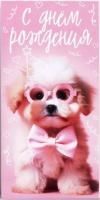 Конверт для денег 16,5х8см С Днем Рождения собачка 10/10 