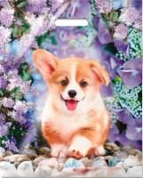 Пакет с вырубной ручкой (38х47+6)-60 Рыжик ламинат 50/500