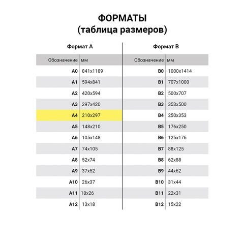 Тетрадь 96л А4 клетка бумвинил 60 г/м2 офсет №2 эконом синий STAFF 1/20