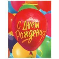 Пакет подарочный бумажный (22х31х10) матовый С Днем Рождения! 1/12