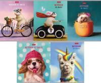 Тетрадь 40л А5 клетка скоба Узнай себя Хатбер 1/100