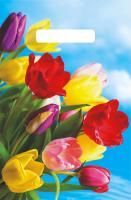 Пакет с вырубной ручкой (20х30)-30 Монро 100/3000 