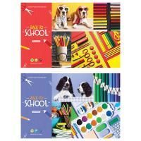 Альбом для рисования 40л А4 скоба офсет  Стиль Школьный ArtSpace 1/5/35