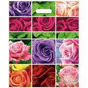 Пакет с вырубной ручкой (38х47)-60 Коллаж роз Нео-Пак 25/1000 Пакет с вырубной ручкой (38х47)-60 Коллаж роз Нео-Пак 25/1000