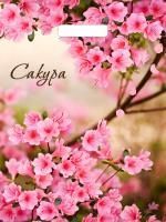 Пакет с вырубной ручкой (31х40)-60 Яркая сакура ламинат Тико 50/500