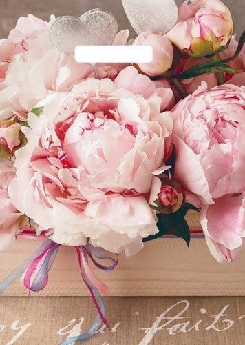 Пакет с вырубной ручкой (29х40)-35 Бенефис 50/1000 