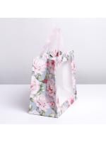 Пакет подарочный бумажный с окном (24х11х20) Beautiful 1/400