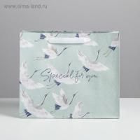 Пакет подарочный бумажный (23х27х11,5) крафт Special for you 1/280