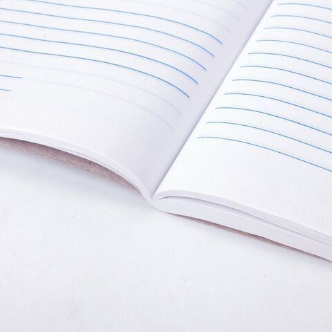 Книга Отзывов и предложений 96л А5 150х205мм картон, офсет BRAUBERG/STAFF (клиент)