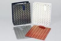 Пакет подарочный бумажный (18х23х10) с тиснением Люкс 1/10