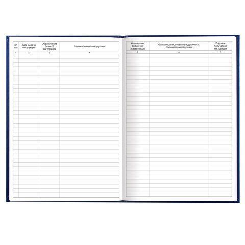 Журнал учета выдачи инструкций по охране труда 96л А4 200х290мм бумвинил синий 1/10 (клиент)