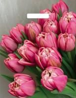 Пакет с вырубной ручкой (31х40)-60 Стелла 50/1000