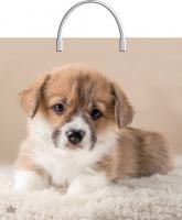 Пакет с пластмассовыми ручками (35х36)-85 Мой дружок Тико 10/100