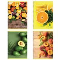 Тетрадь 80л А4 клетка гребень обложка картон Фрукты BRAUBERG 1/4/28