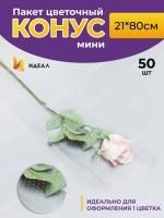 Пакет для цветов п/п конус рисунок+рисунок точки 21х80 1/50