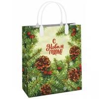 НГ Сумка пластиковая (23х27)-150 Сибирская красавица 1/40