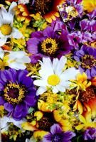 Пакет подарочный бумажный (32х45х11) ламинир Цветы 1/20 