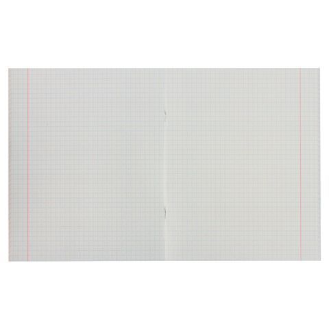 Тетрадь 48л А5 клетка офсет №2 ЭКОНОМ обложка картон АБСОЛЮТ STAFF 1/100