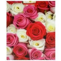 Пакет подарочный бумажный (26х32х14) матовый Розы 1/12 Пакет подарочный бумажный (26х32х14) матовый Розы 1/12