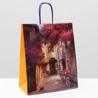 Пакет подарочный бумажный (22х12х27) крафт Дворик 10/300