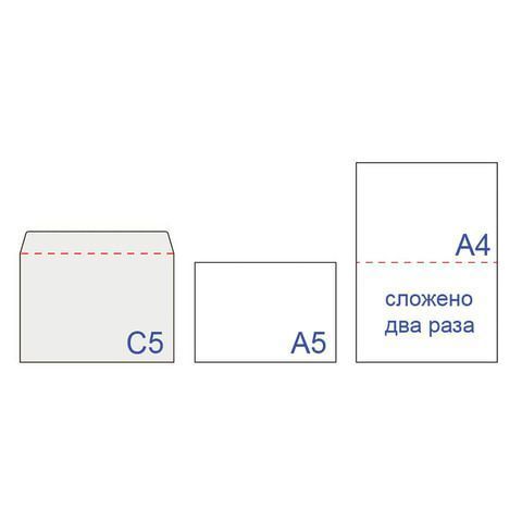 Конверты С5 162х229мм 80г/м2 отрывная полоса STRIP Куда-Кому 1/1000