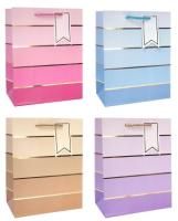 Пакет подарочный бумажный (18х23х10) ламинир Градиент 1/12 Пакет подарочный бумажный (18х23х10) ламинир Градиент 1/12