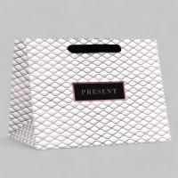 Пакет подарочный бумажный (25х19х18) ламинир Текстура 1/200